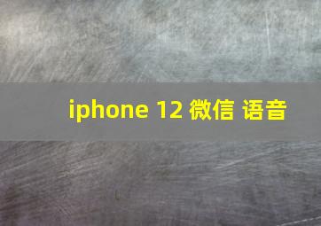 iphone 12 微信 语音